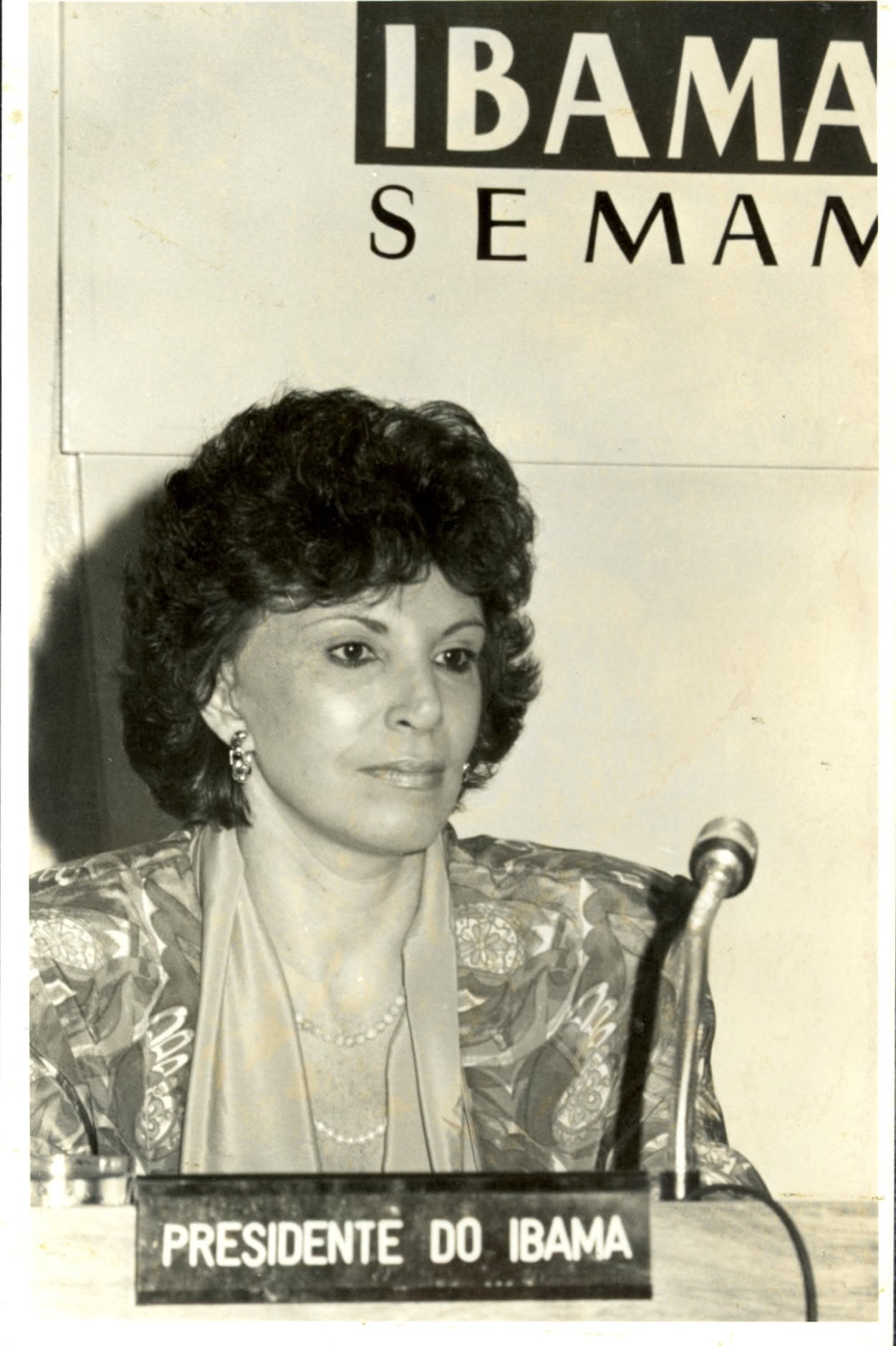 Presidente do Ibama, 1992